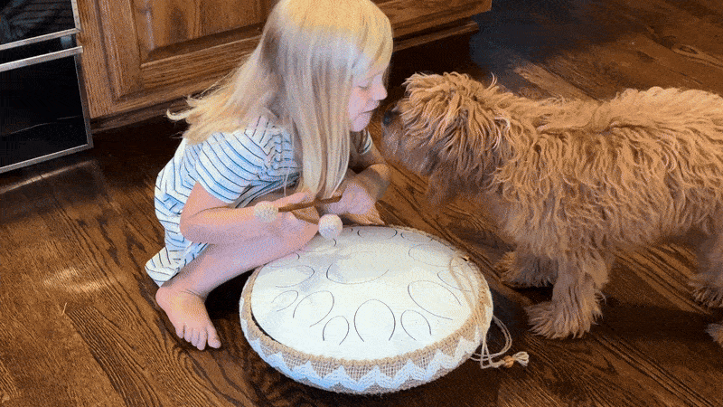 Child and dog leaning towards each other near a drum on a wooden floor.