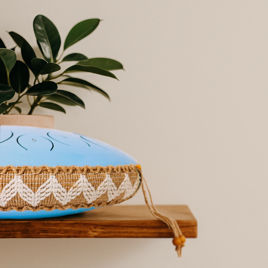 A blue handpan with woven banding on a wooden shelf, plant in background.
