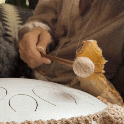 Person gently playing a tongue drum with mallets, next to a yellow lizard.