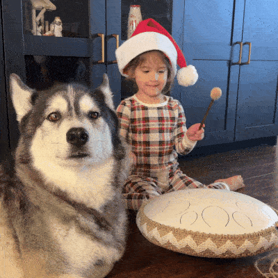 Child in Santa hat playing a drum next to a large dog.