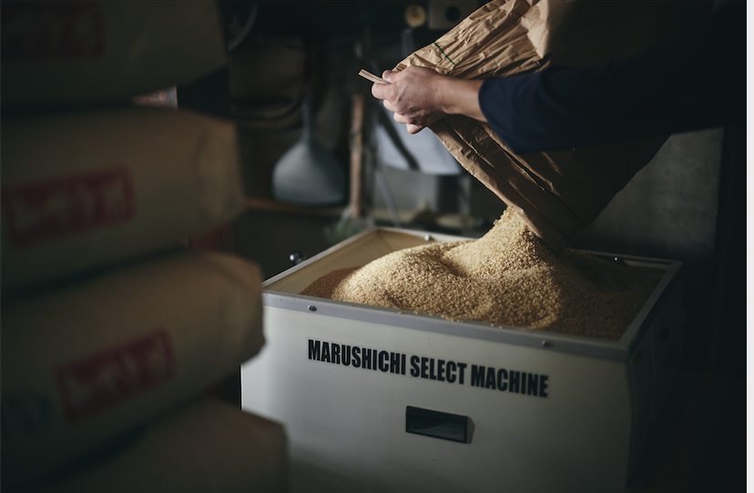 Person pouring rice into a Marushichi Select Machine.
