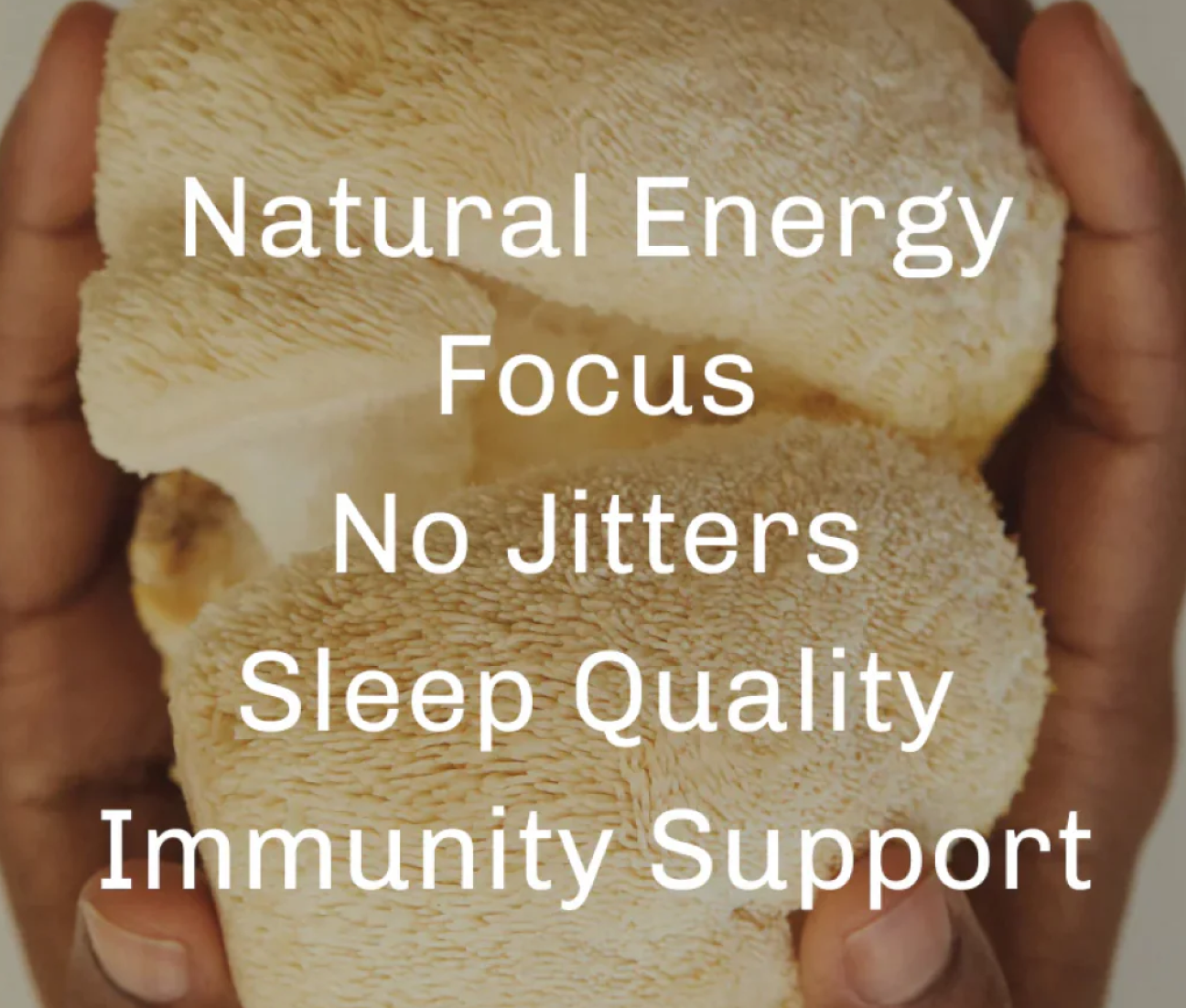 Hands holding a mushroom with text: Natural Energy, Focus, No Jitters, Sleep Quality, Immunity Support.
