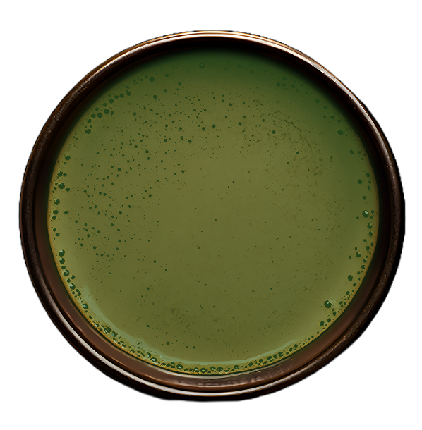 Top view of a cup filled with frothy hot chocolate.