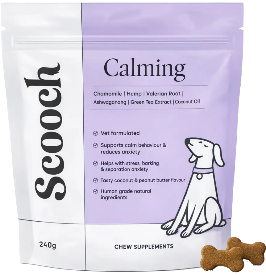 A pouch of Scooch Calming chew supplements for dogs, with two bone-shaped chews next to it.