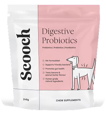 Packaging of Scooch Digestive Probiotics for dogs with a cartoon dog illustration.