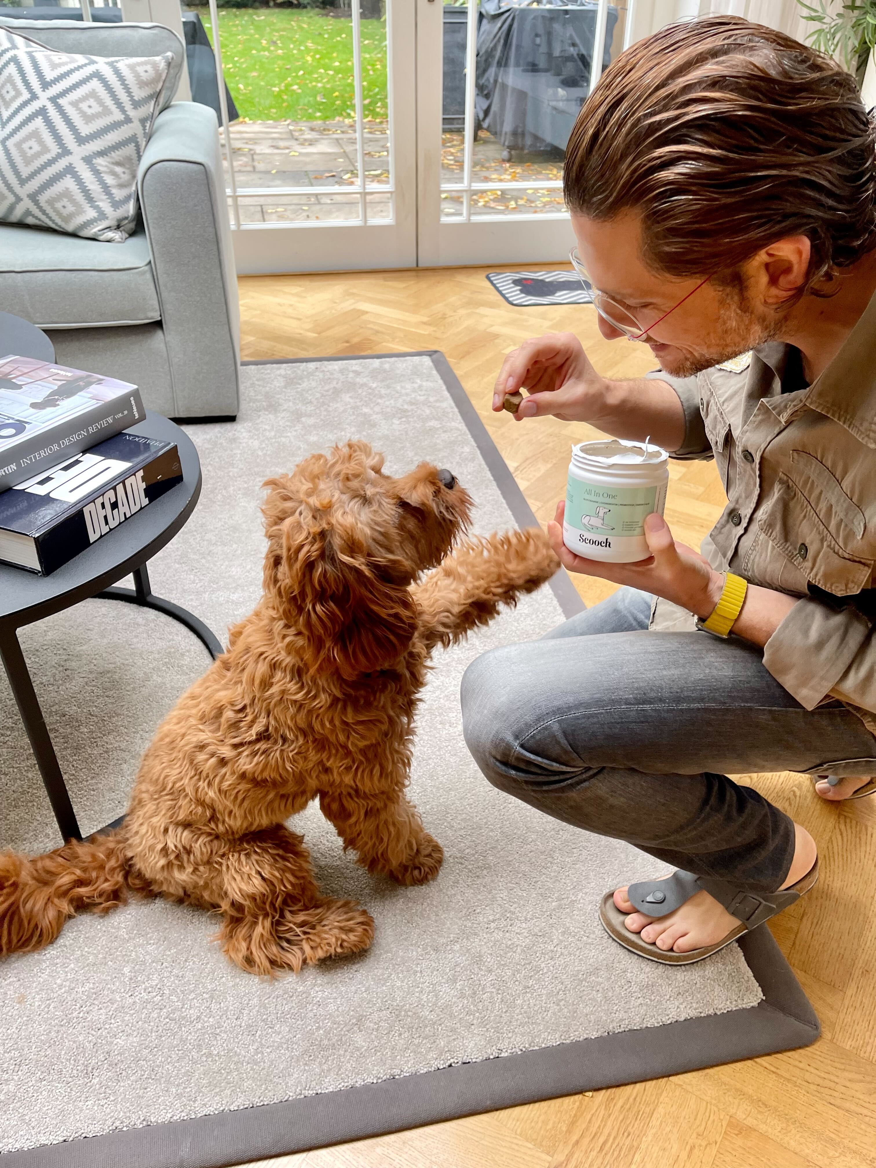 Man feeding a treat to a brown dog sitting on a rug indoors.