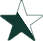 A green and white star icon with a transparent background.