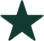 A solid green star icon on a transparent background.