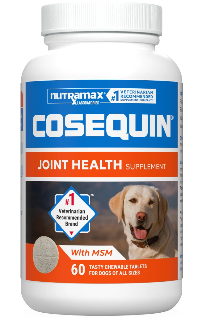 A white bottle of Nutramax Cosequin Joint Health Supplement for dogs, featuring a yellow Labrador on the label.