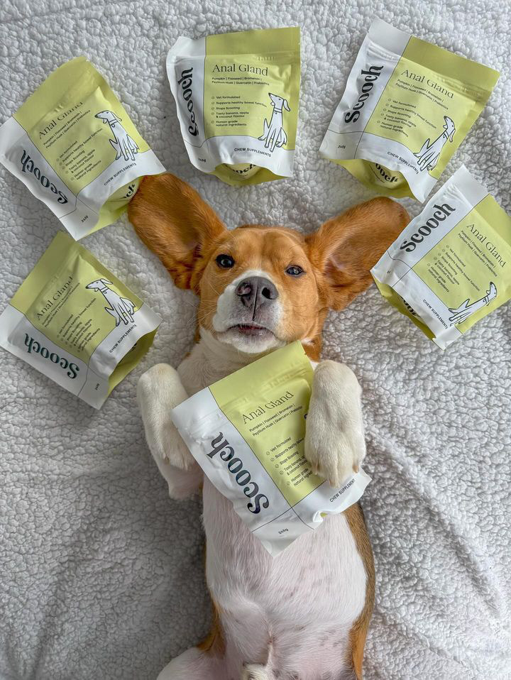 Dog lying on back surrounded by pet product packages on a fluffy surface.
