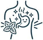 A line drawing of a smiling stomach with mint leaves and sparkles inside a human torso.