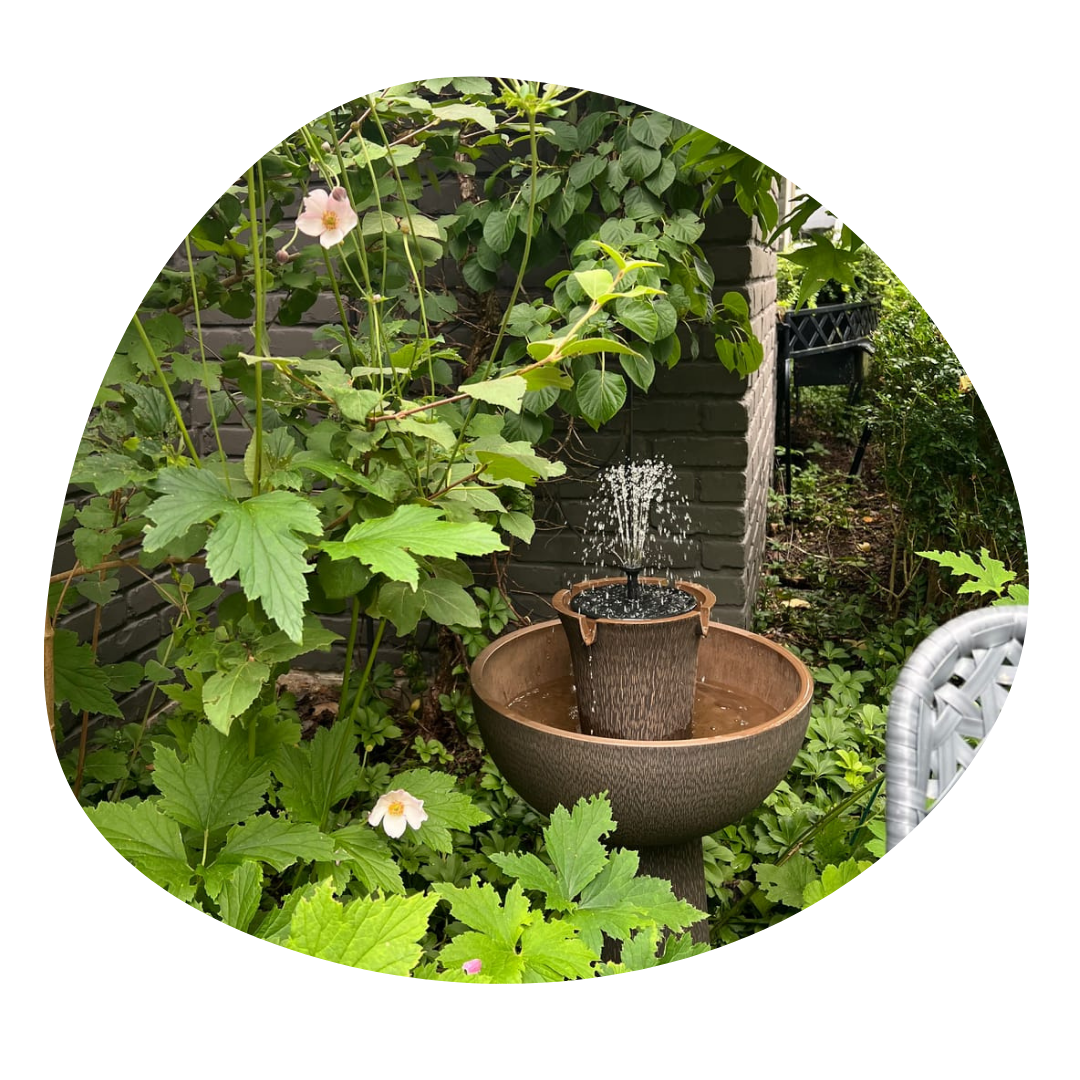 Small garden fountain surrounded by green plants and flowers.