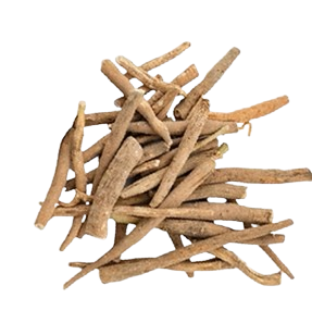 A pile of dried brown sticks on a white background.