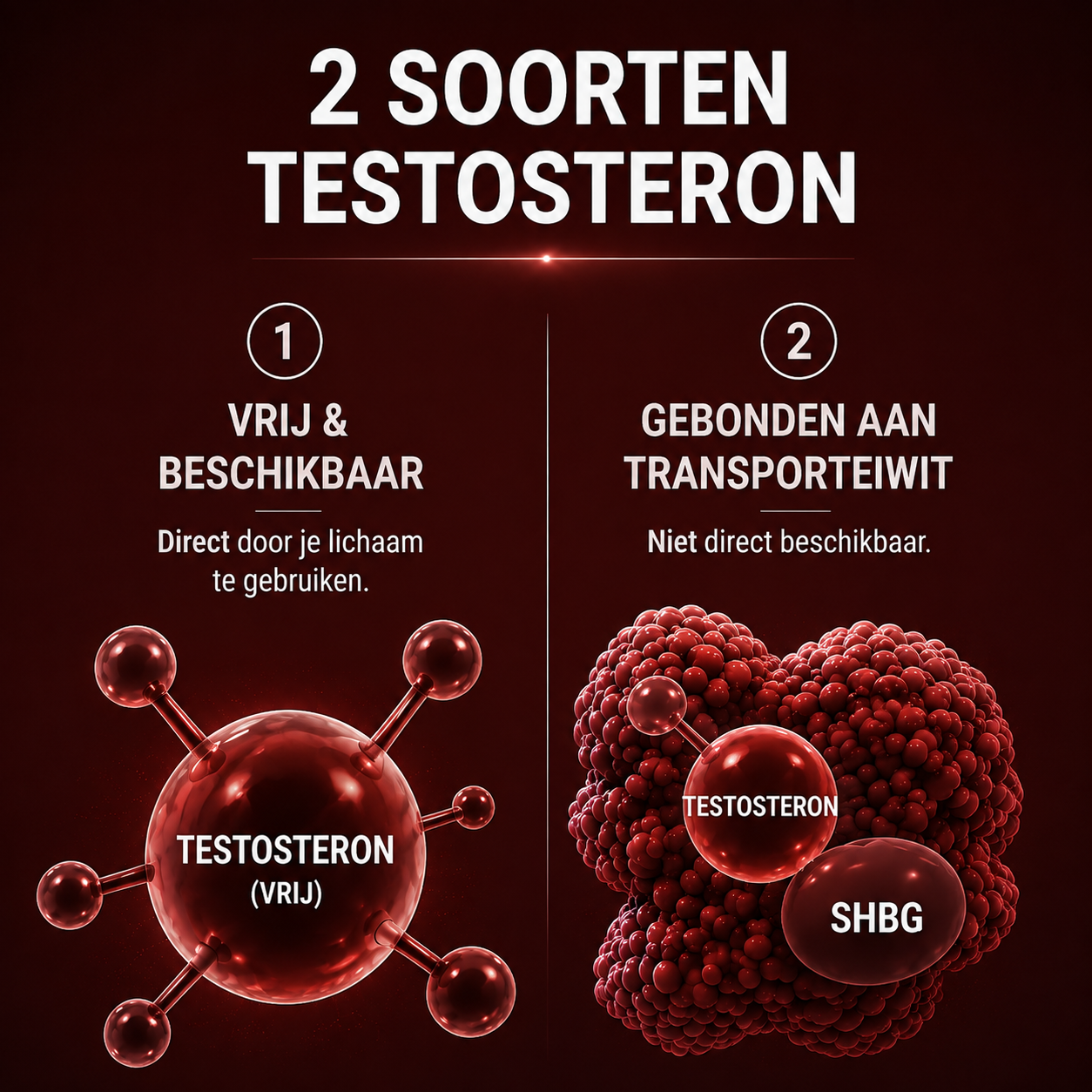 Soorten testosteron