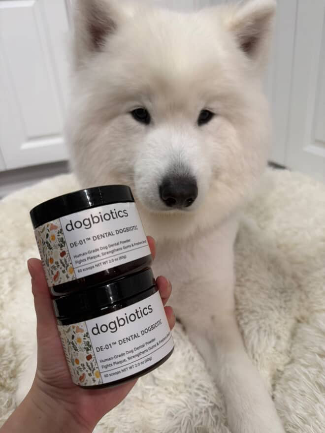 A fluffy white dog with two jars of dog dental powder.