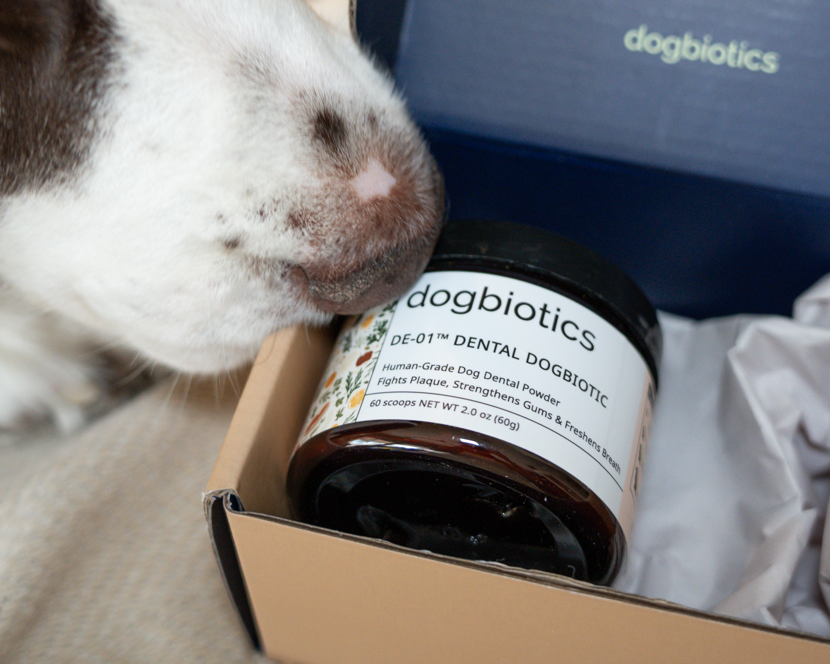 Dog smelling a jar of dog dental powder in a box.