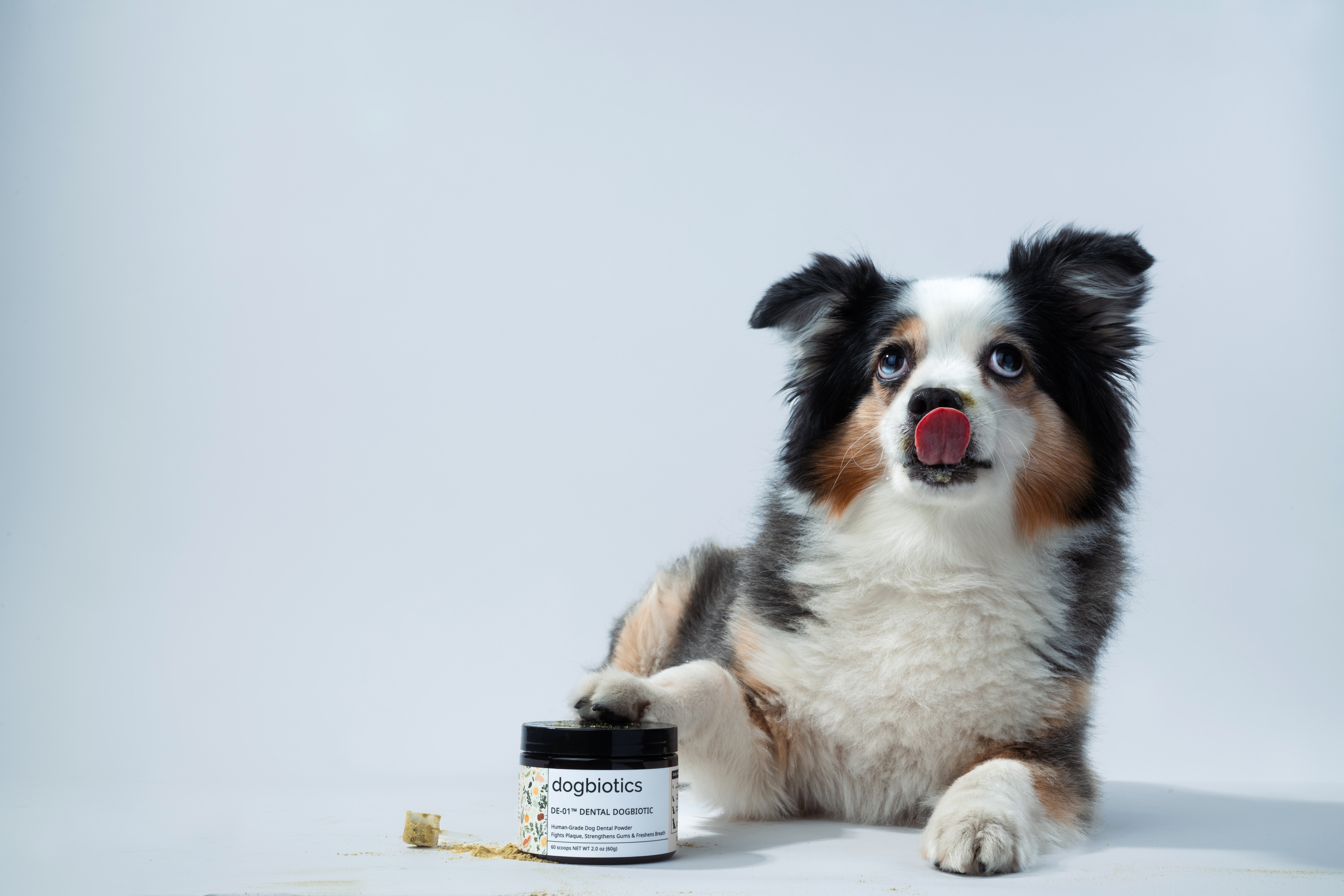 Dog licking its nose beside a jar labeled 'dogbiotics' on a white background.