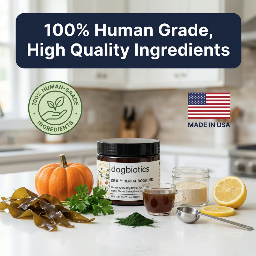 A jar of Dogbiotics dental supplement on a kitchen counter surrounded by ingredients like pumpkin, kelp, and lemon.