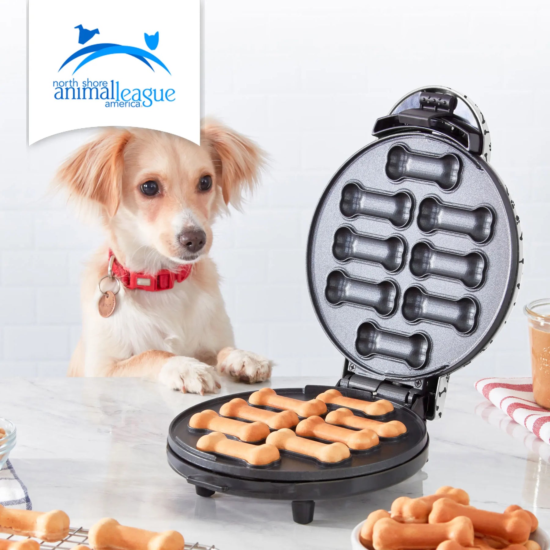 Adorable dog watching fresh bone-shaped treats cook in the Dash Dog Treat Maker — perfect for pet lovers and healthy homemade snacks.
