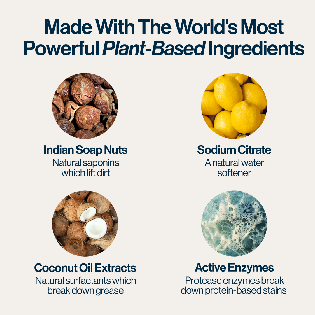 Image showing plant-based ingredients: soap nuts, sodium citrate, coconut oil extracts, and active enzymes.