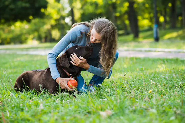 Person cuddling a brown dog holding a red ball on grass.