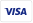 The VISA logo in blue text on a white background.