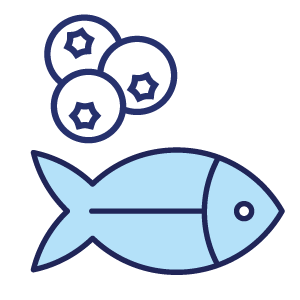 Blue fish and three round objects with stars.