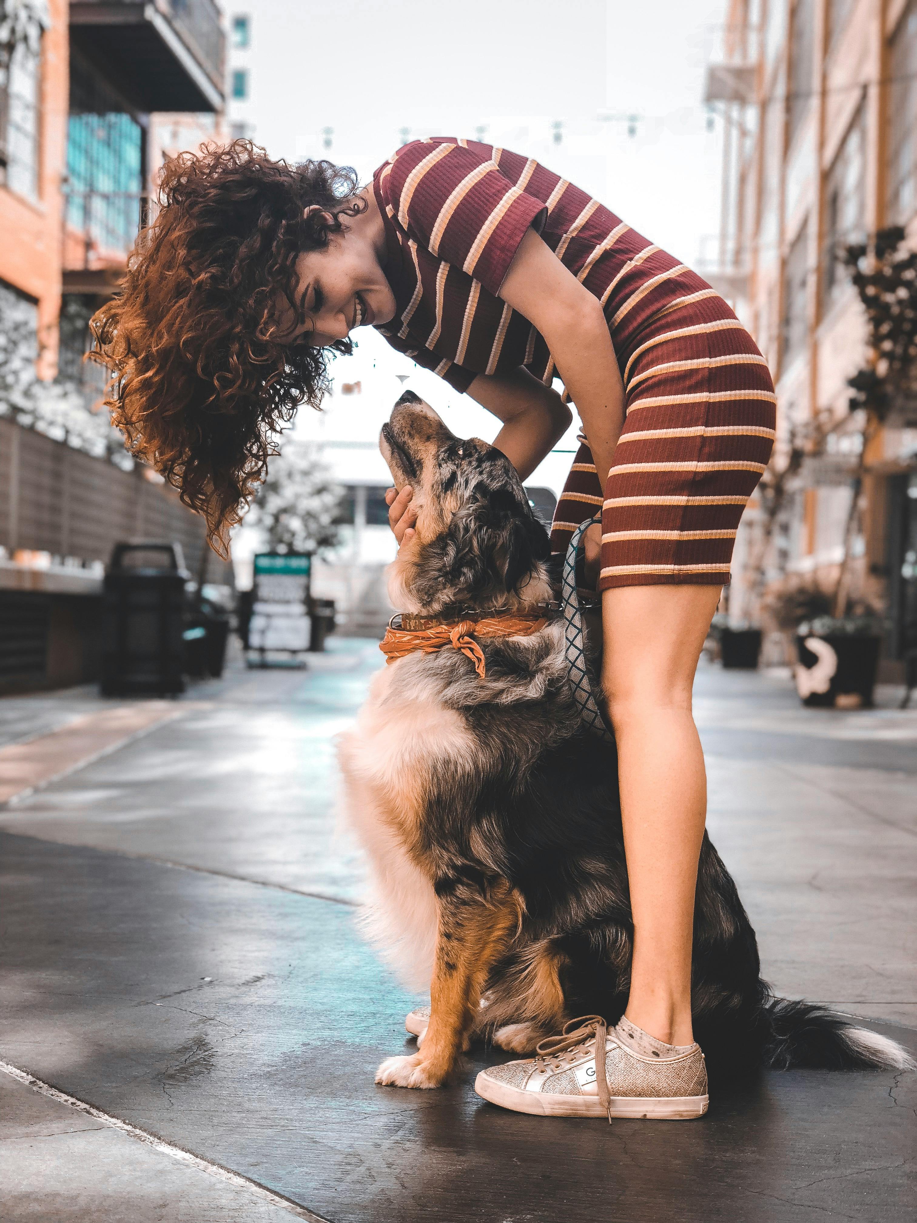 Person bending to pet a large dog in an urban setting.