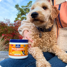 Small dog behind a container of Belly Buddies Probiotics.