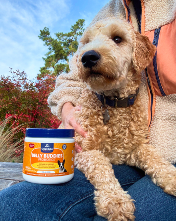 A dog sitting on a person's lap next to a container of dog probiotics.