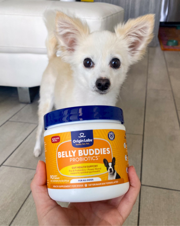 Small dog behind a container of Belly Buddies probiotics.
