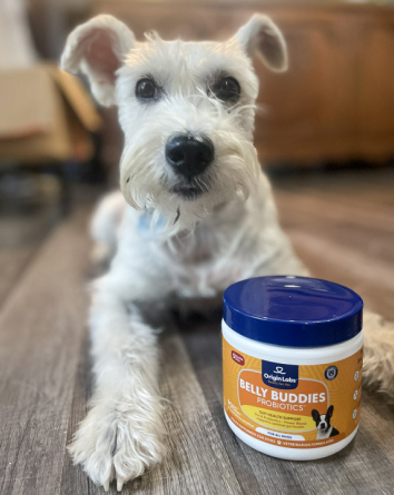 White dog lying on floor next to a container of probiotics.