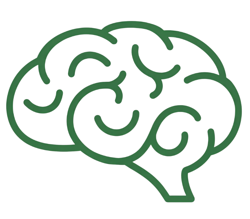 Outline of a green brain icon on a transparent background.