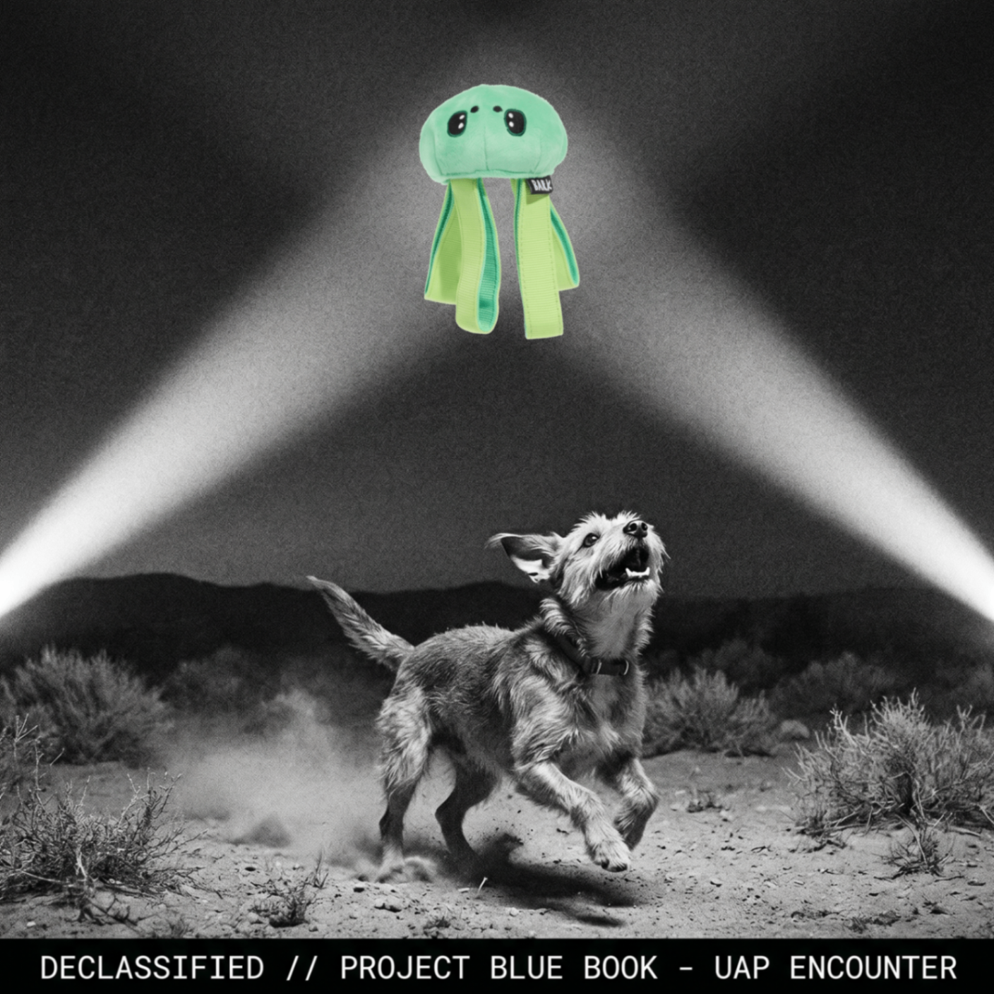 Exhibit B: Galactopus — Case File 2026-K9-GP