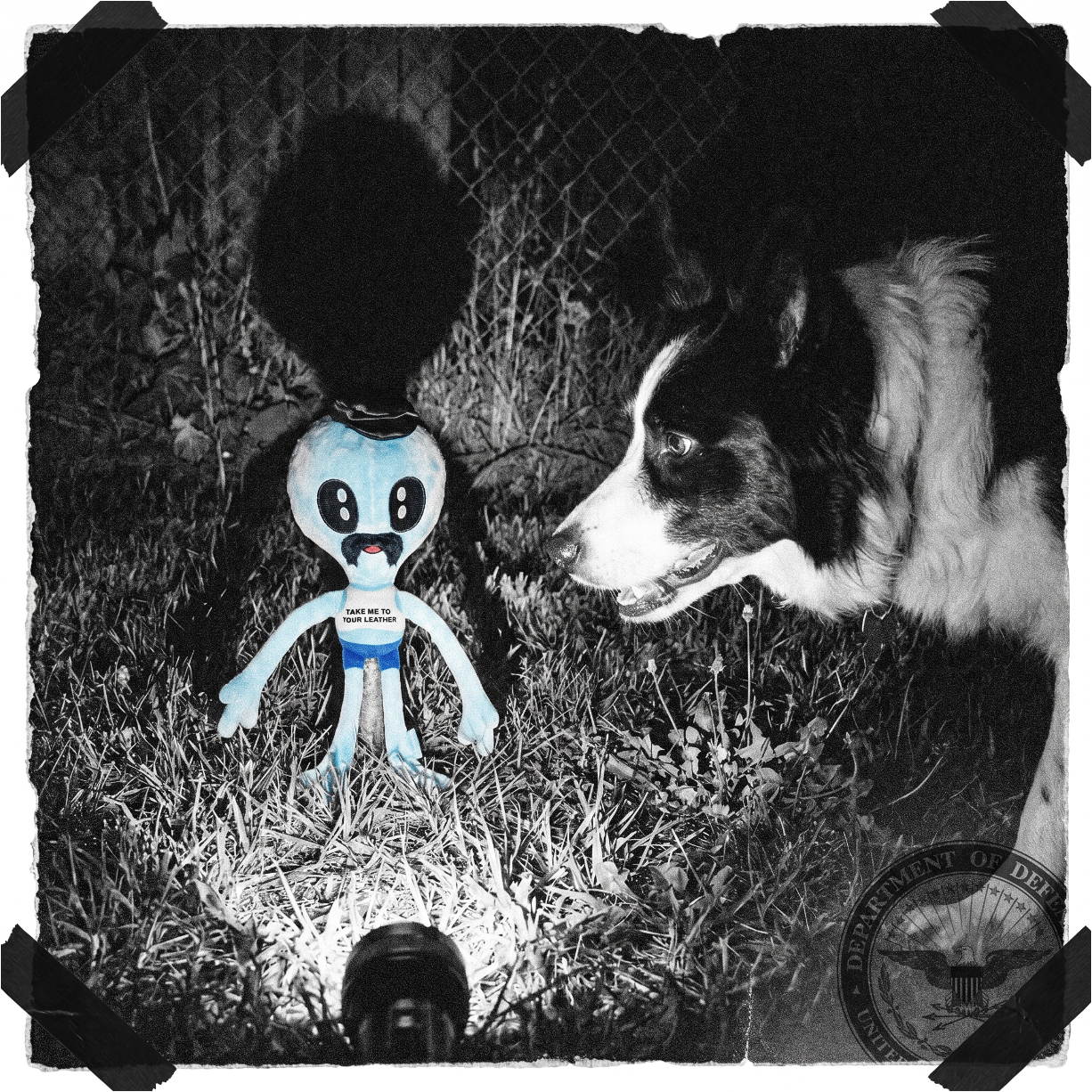 Exhibit A: Alien Gnawtopsy — Case File 2026-K9-AG