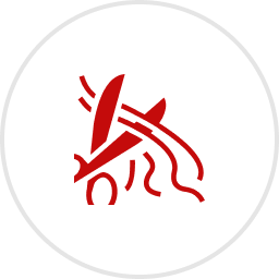 Red abstract icon resembling an airplane and lines on a white background.
