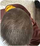 Month 3