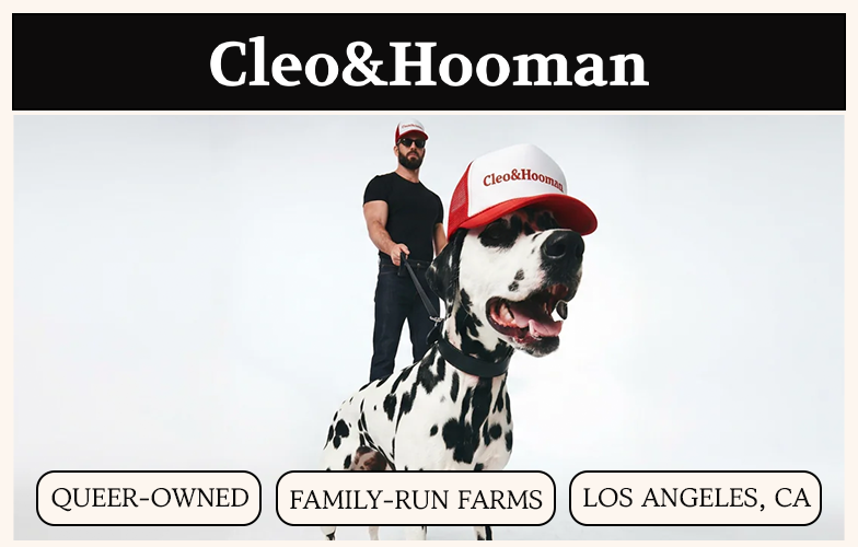 A dalmatian wearing a branded trucker hat stands in front of a man holding its leash.