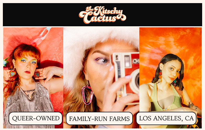 The Kitschy Cactus logo above three vibrant portraits of women modeling colorful earrings.