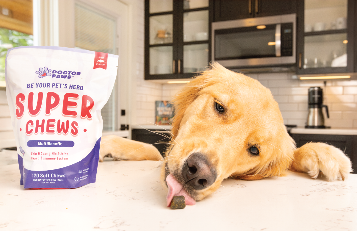 A golden retriever licks a treat on a kitchen counter next to a bag of Doctor Paws chews.