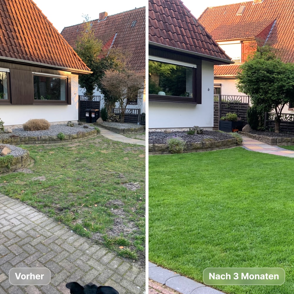 A before-and-after image showing a patchy front lawn transformed into a lush, vibrant green lawn.