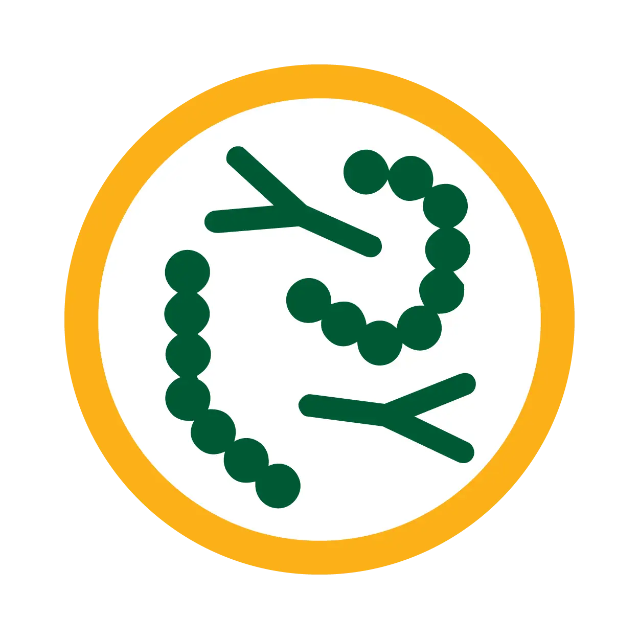 An icon of green Y-shaped antibodies and strings of bacteria within a yellow circle on a white background.