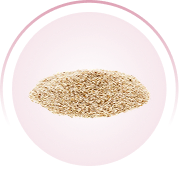 A small pile of light brown, granular material inside a pink circular frame on a white background.
