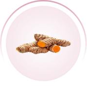Several pieces of fresh turmeric root, two cut open, centered inside a faint pink circular border.