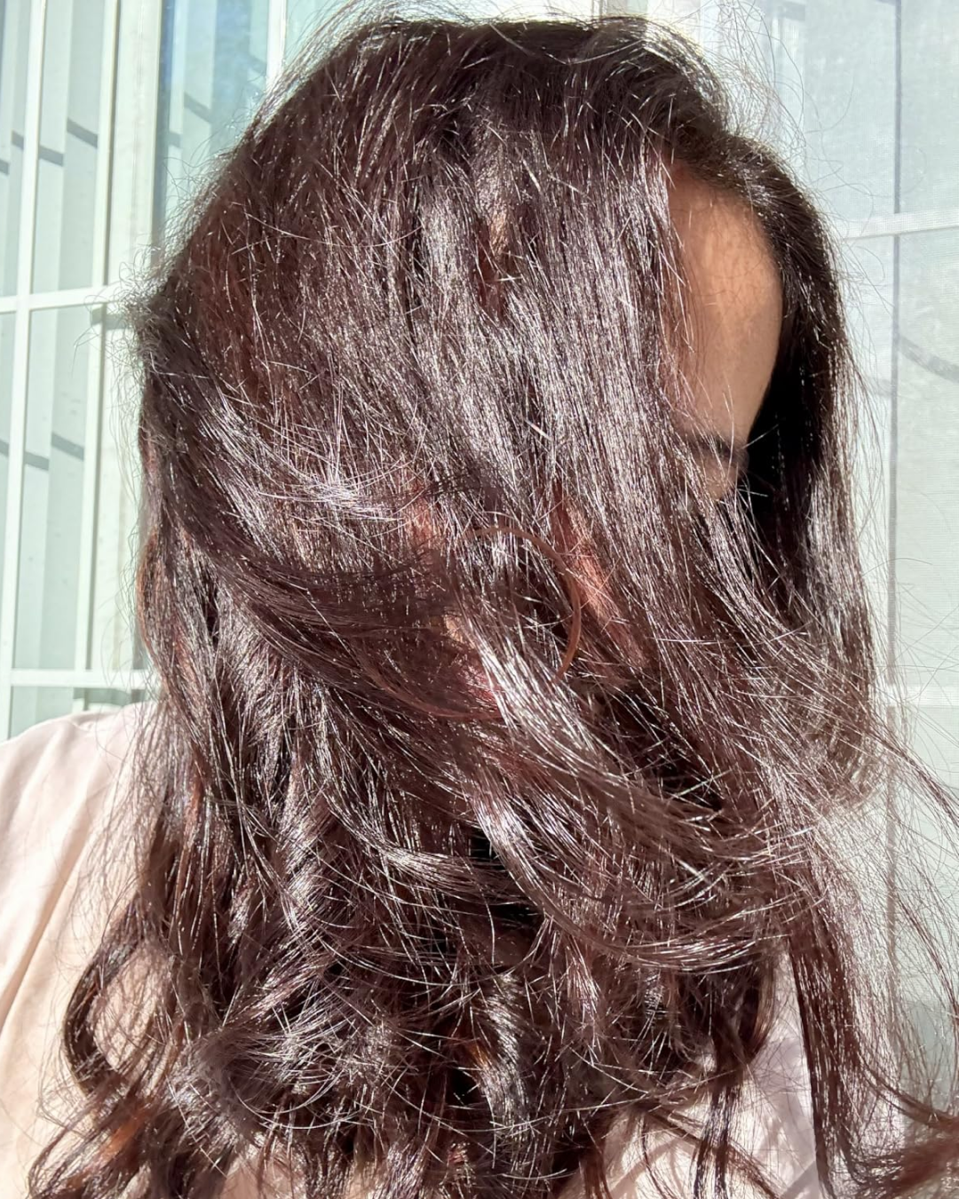 A close-up of a person's long, shiny, dark brown hair covering their face in the sunlight.