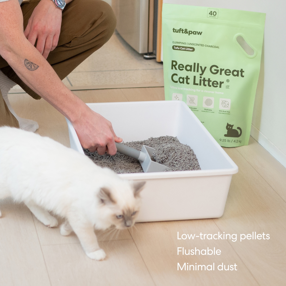 A person scoops a litter box as a white cat walks by, with a bag of cat litter nearby.