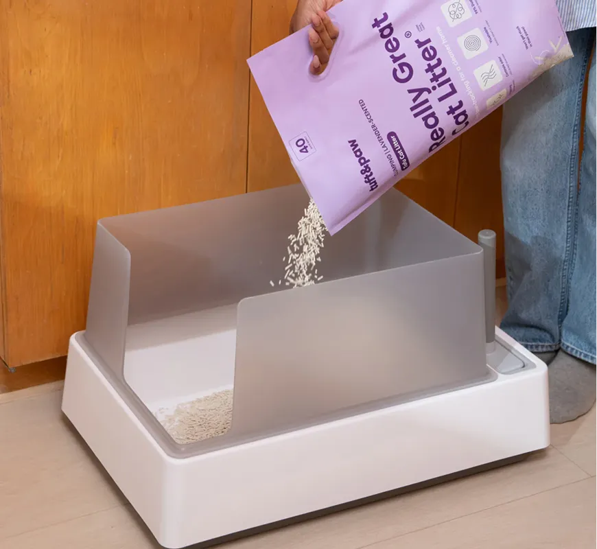 A person pours cat litter from a purple bag into a modern white litter box with a clear shield.