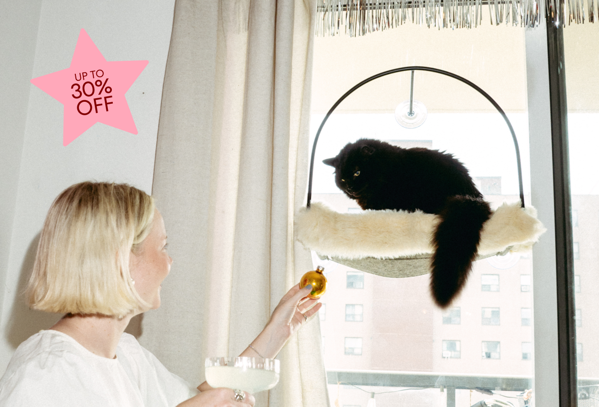 Person holding ornament near black cat in hanging bed by window.