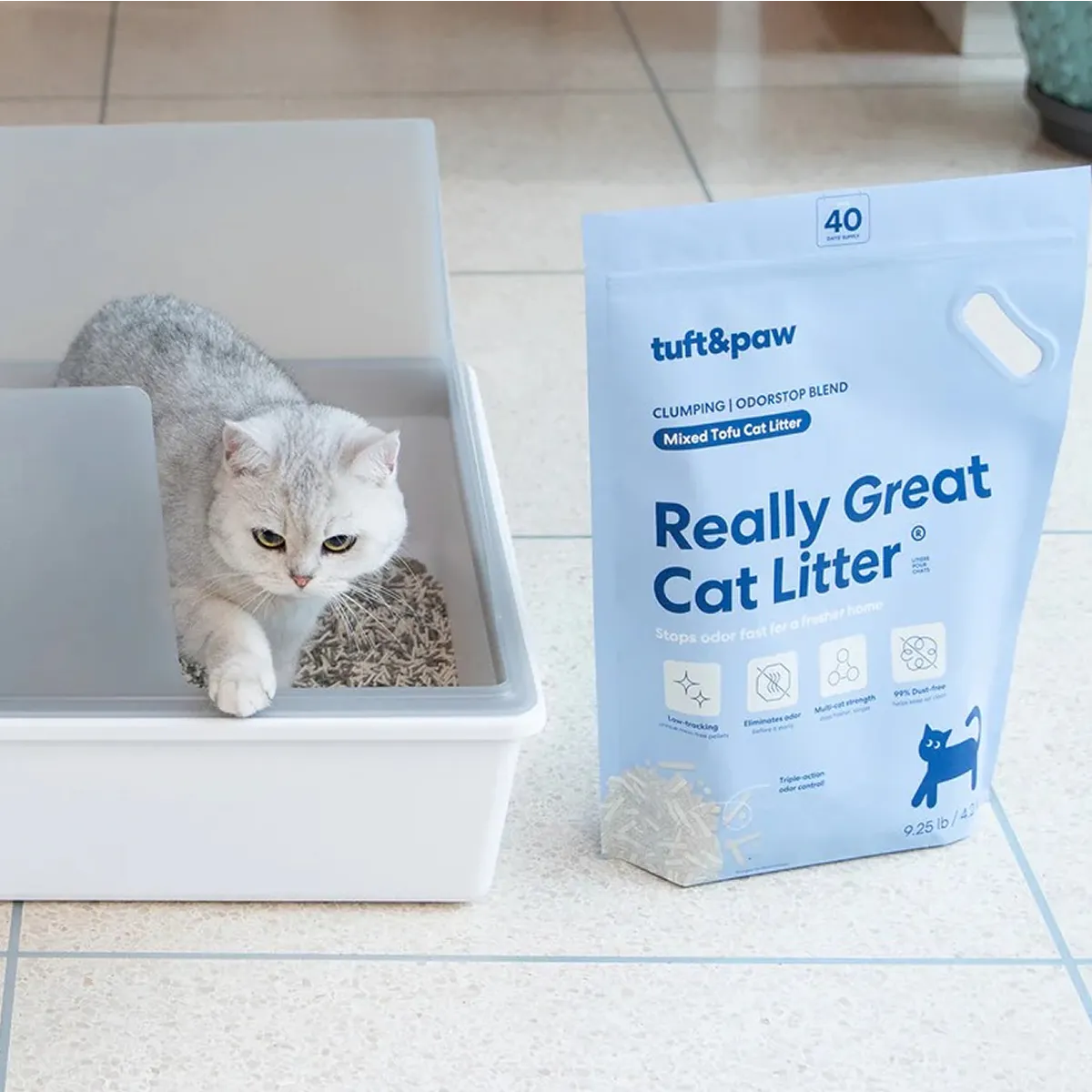 A silver cat stepping out of a white litter box next to a blue bag of cat litter.
