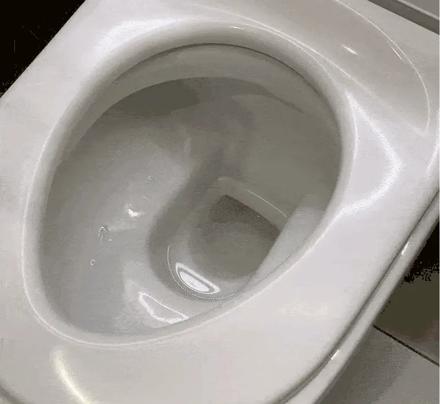 A close-up, high-angle view of the inside of a clean, white toilet bowl with water in it.